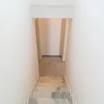 酒店 天竺葵同性恋公寓 Mykonos Town