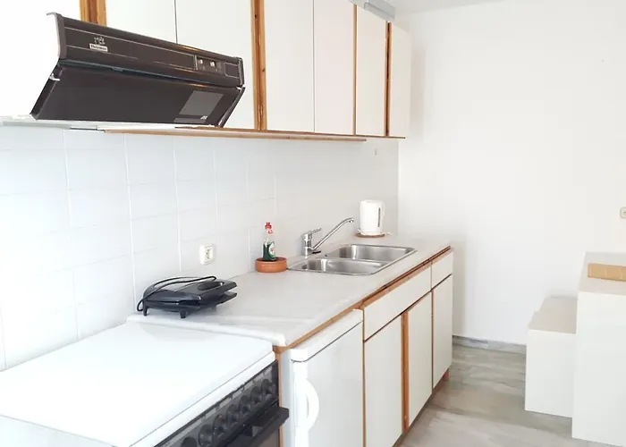 天竺葵同性恋公寓 4* Mykonos Town