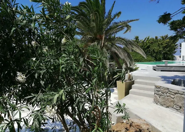 天竺葵同性恋公寓 4* Mykonos Town