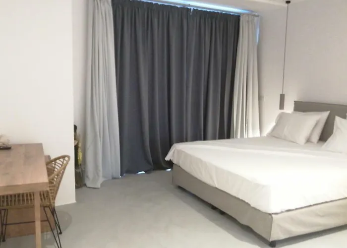 天竺葵同性恋公寓