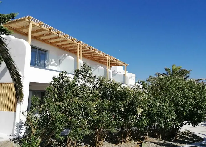 酒店 天竺葵同性恋公寓 Mykonos Town