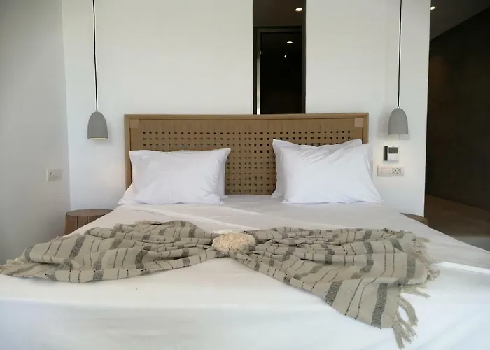 天竺葵同性恋公寓