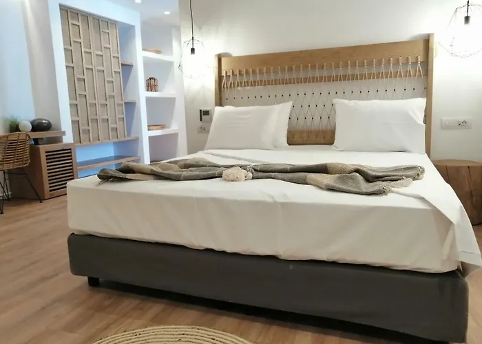 天竺葵同性恋公寓 4* Mykonos Town